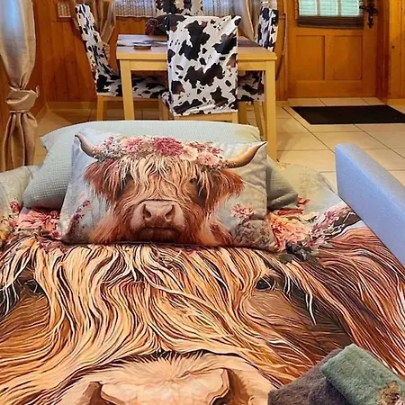 Gemuetliche 2-zimmer Mir Bergblick Lejlighed *