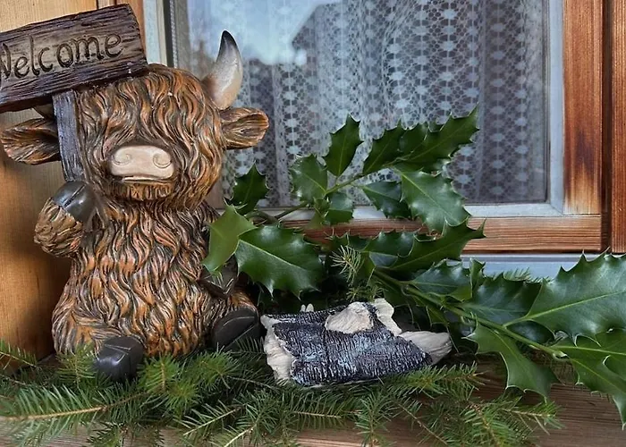 Gemuetliche 2-zimmer Mir Bergblick דירה