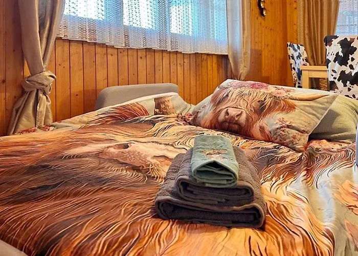 Gemuetliche 2-zimmer Mir Bergblick 公寓 *