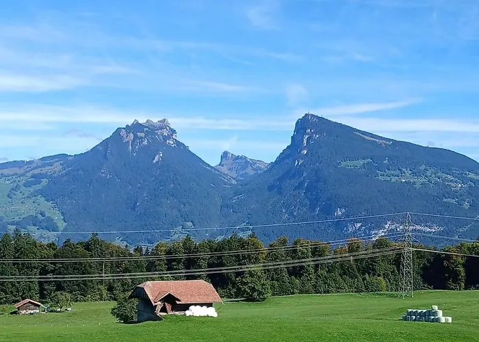 公寓 Gemuetliche 2-zimmer Mir Bergblick Aeschi Bei Spiez
