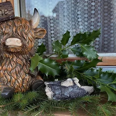 Gemütliche 2-zimmer Mir Bergblick Apartment