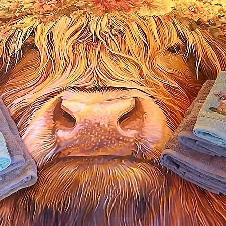 Gemütliche 2-zimmer Mir Bergblick Apartment Aeschi Bei Spiez